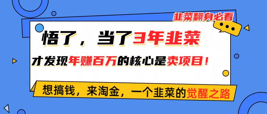 悟了，当了3年韭菜，才发现网赚圈年赚100万的核心是卖项目，含泪分享！网创吧-网创项目资源站-副业项目-创业项目-搞钱项目左姐网创