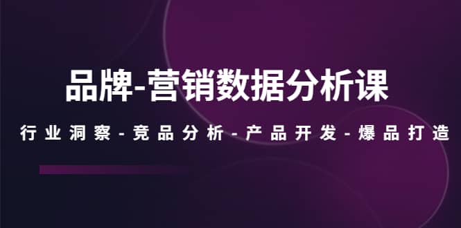 品牌-营销数据分析课，行业洞察-竞品分析-产品开发-爆品打造网创吧-网创项目资源站-副业项目-创业项目-搞钱项目左姐网创