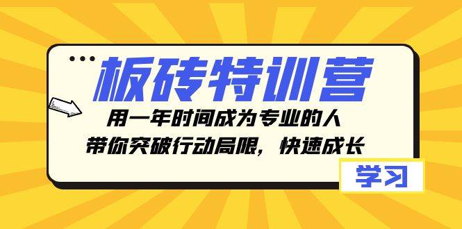 板砖特训营，用一年时间成为专业的人，带你突破行动局限，快速成长网创吧-网创项目资源站-副业项目-创业项目-搞钱项目左姐网创