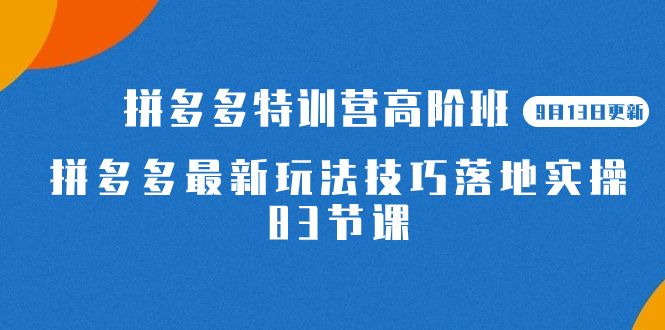 2023拼多多·特训营高阶班【9月13日更新】拼多多最新玩法技巧落地实操-83节网创吧-网创项目资源站-副业项目-创业项目-搞钱项目左姐网创