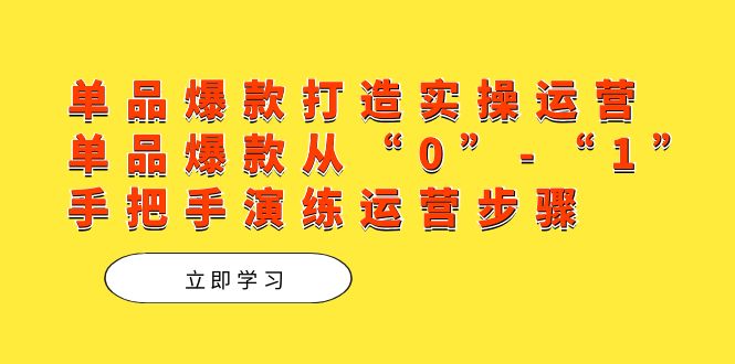单品爆款打造实操运营，单品爆款从“0”-“1”手把手演练运营步骤网创吧-网创项目资源站-副业项目-创业项目-搞钱项目左姐网创