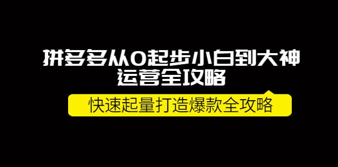 拼多多从0起步小白到大神运营全攻略网创吧-网创项目资源站-副业项目-创业项目-搞钱项目左姐网创