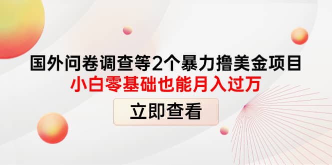 国外问卷调查等2个暴力撸美元项目，小白零基础也能月入过万网创吧-网创项目资源站-副业项目-创业项目-搞钱项目左姐网创