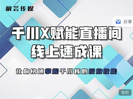 枫芸传媒-线上千川提升课，提升千川认知，提升千川投放效果网创吧-网创项目资源站-副业项目-创业项目-搞钱项目左姐网创