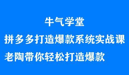 牛气学堂拼多多打造爆款系统实战课，老陶带你轻松打造爆款网创吧-网创项目资源站-副业项目-创业项目-搞钱项目左姐网创