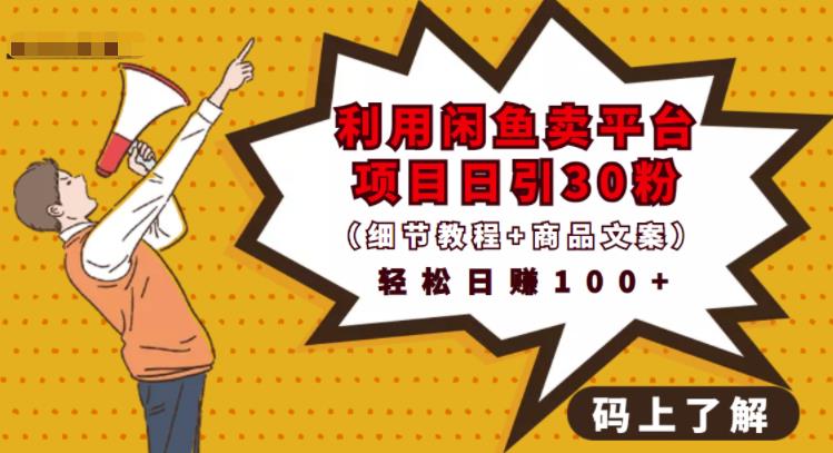 利用闲鱼卖平台项目课程资源日引流30+精准粉丝，轻松日赚100+，积累人脉可实现二次变现（细节教程+商品文案）网创吧-网创项目资源站-副业项目-创业项目-搞钱项目左姐网创