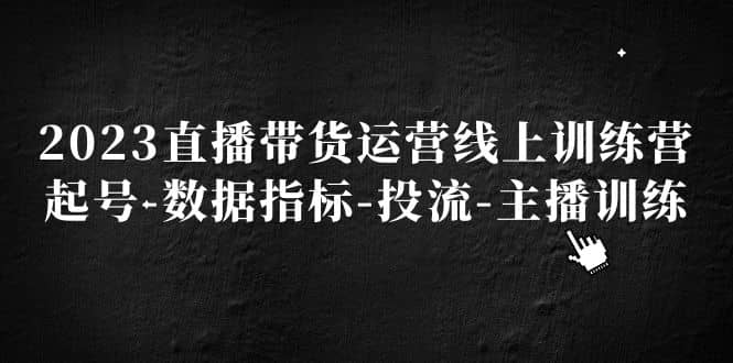 2023直播带货运营线上训练营，起号-数据指标-投流-主播训练网创吧-网创项目资源站-副业项目-创业项目-搞钱项目左姐网创