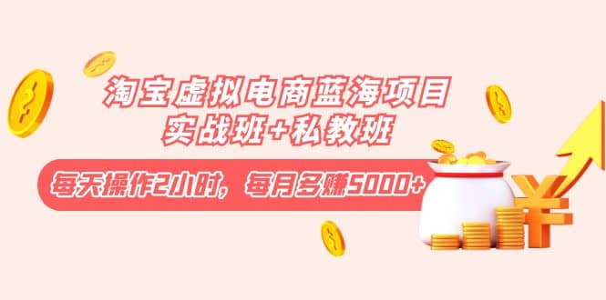 淘宝虚拟电商蓝海项目实战班+私教班网创吧-网创项目资源站-副业项目-创业项目-搞钱项目左姐网创