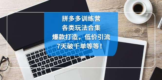 拼多多训练营：各玩法合集，爆款打造，低价引流，7天破千单等等网创吧-网创项目资源站-副业项目-创业项目-搞钱项目左姐网创