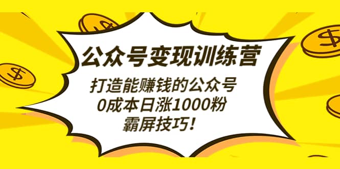 公众号变现训练营（第3期）网创吧-网创项目资源站-副业项目-创业项目-搞钱项目左姐网创