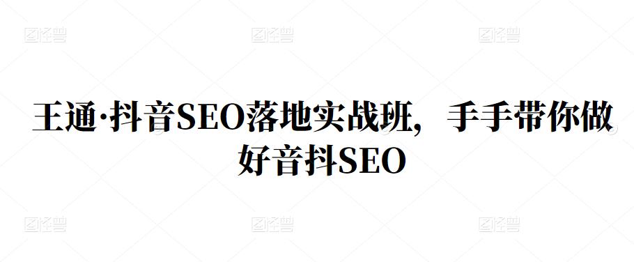 王通·抖音SEO落地实战班，手‬手带你做好音抖‬‬SEO网创吧-网创项目资源站-副业项目-创业项目-搞钱项目左姐网创