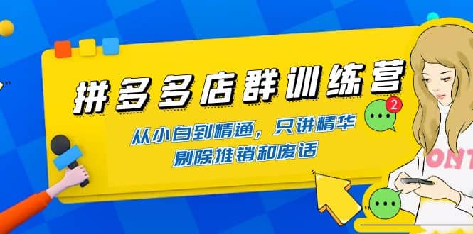拼多多店群训练营：从小白到精通，只讲精华，剔除推销和废话网创吧-网创项目资源站-副业项目-创业项目-搞钱项目左姐网创