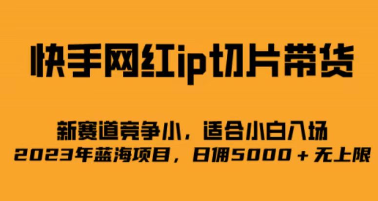 快手网红ip切片新赛道，竞争小事，适合小白 2023蓝海项目网创吧-网创项目资源站-副业项目-创业项目-搞钱项目左姐网创