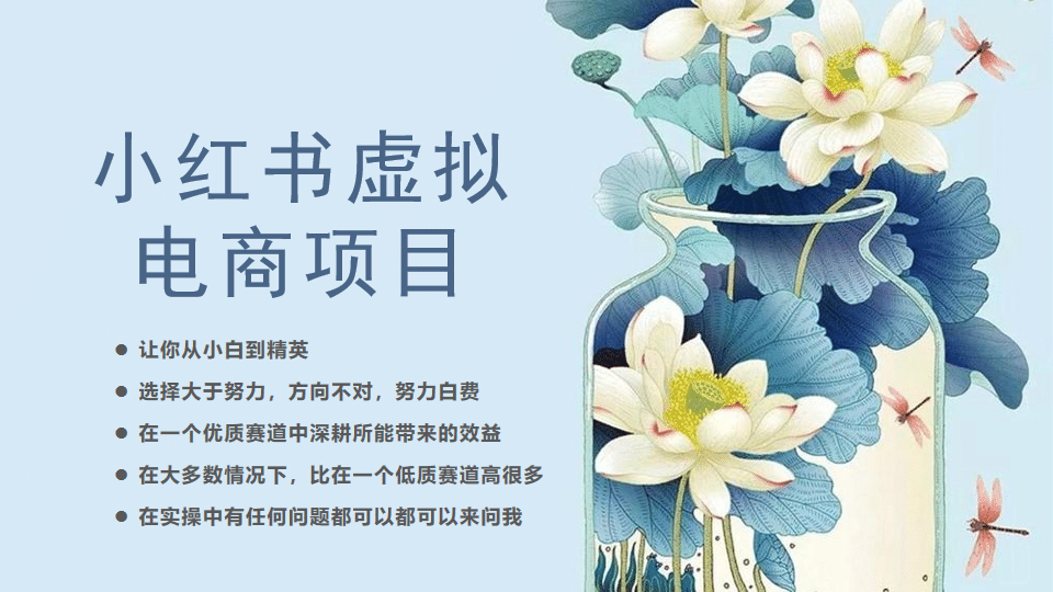 小红书虚拟电商从0到1，让你从小白到精英（20节实操课程）网创吧-网创项目资源站-副业项目-创业项目-搞钱项目左姐网创