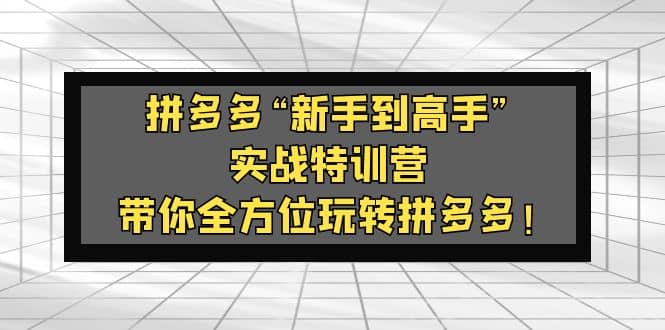 拼多多“新手到高手”实战特训营：带你全方位玩转拼多多网创吧-网创项目资源站-副业项目-创业项目-搞钱项目左姐网创