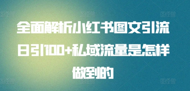 日引流100私域流量小红书图文是怎样做到的全面解析网创吧-网创项目资源站-副业项目-创业项目-搞钱项目左姐网创