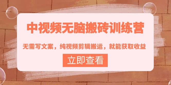 中视频无脑搬砖训练营：无需写文案，纯视频剪辑搬运，就能获取收益网创吧-网创项目资源站-副业项目-创业项目-搞钱项目左姐网创