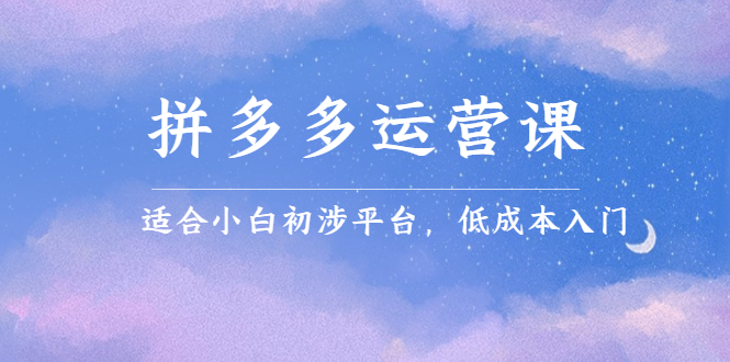 拼多多运营课，适合小白初涉平台，低成本入门网创吧-网创项目资源站-副业项目-创业项目-搞钱项目左姐网创