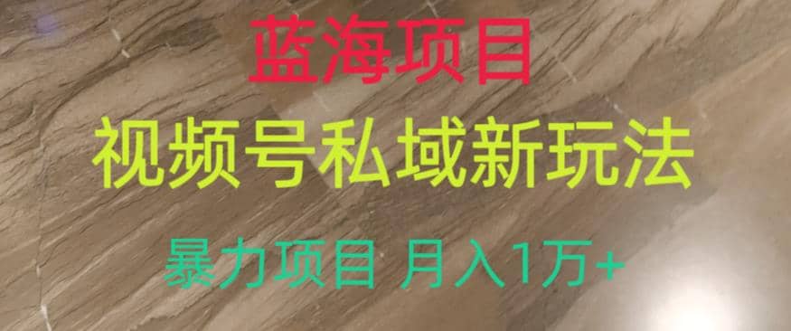 蓝海项目，视频号私域新玩法，暴力项目月入1万+【揭秘】网创吧-网创项目资源站-副业项目-创业项目-搞钱项目左姐网创