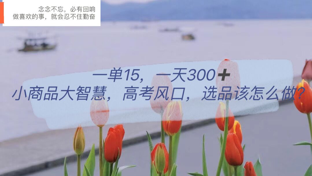 一单15，一天300+，小商品大智慧，高考风口，选品该怎么布局网创吧-网创项目资源站-副业项目-创业项目-搞钱项目左姐网创