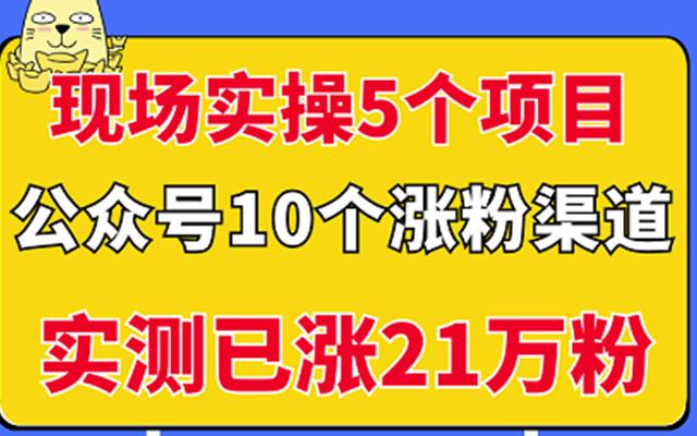 现场实操5个公众号项目，10个涨粉渠道，实测已涨21万粉！网创吧-网创项目资源站-副业项目-创业项目-搞钱项目左姐网创