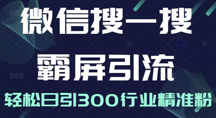 微信搜一搜霸屏引流课，打造被动精准引流系统，轻松日引300行业精准粉【无水印】网创吧-网创项目资源站-副业项目-创业项目-搞钱项目左姐网创
