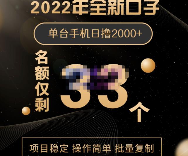 2022年全新口子，手机批量搬砖玩法，一部手机日撸2000+网创吧-网创项目资源站-副业项目-创业项目-搞钱项目左姐网创