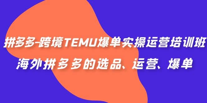 拼多多-跨境TEMU爆单实操运营培训班，海外拼多多的选品、运营、爆单网创吧-网创项目资源站-副业项目-创业项目-搞钱项目左姐网创