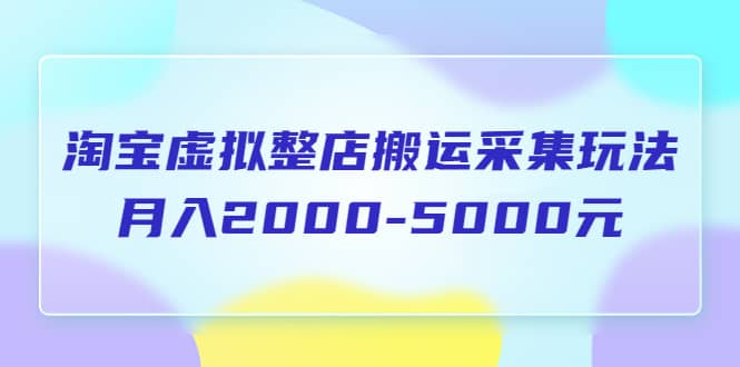 淘宝虚拟整店搬运采集玩法分享课：月入2000-5000元（5节课）网创吧-网创项目资源站-副业项目-创业项目-搞钱项目左姐网创
