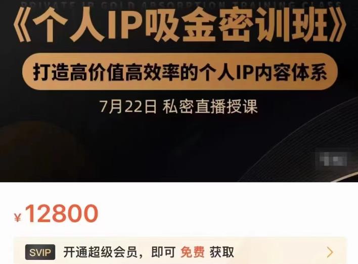 个人IP吸金密训班，打造高价值高效率的个人IP内容体系（价值12800元）网创吧-网创项目资源站-副业项目-创业项目-搞钱项目左姐网创