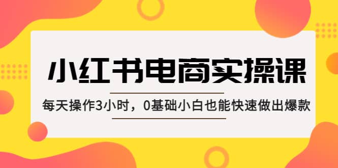 小红书·电商实操课：每天操作3小时，0基础小白也能快速做出爆款网创吧-网创项目资源站-副业项目-创业项目-搞钱项目左姐网创