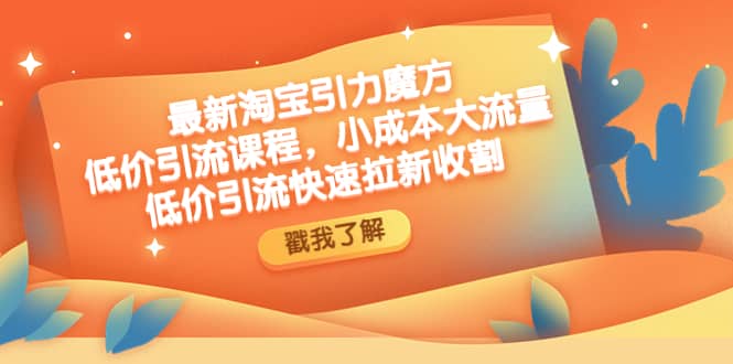 最新淘宝引力魔方低价引流实操：小成本大流量网创吧-网创项目资源站-副业项目-创业项目-搞钱项目左姐网创