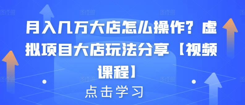 月入几万大店怎么操作？虚拟项目大店玩法分享【视频课程】网创吧-网创项目资源站-副业项目-创业项目-搞钱项目左姐网创