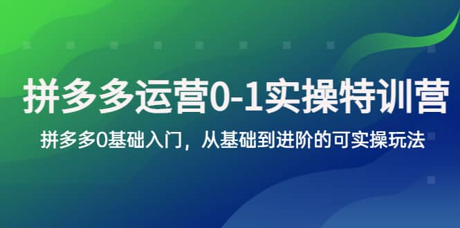 拼多多-运营0-1实操训练营，拼多多0基础入门，从基础到进阶的可实操玩法网创吧-网创项目资源站-副业项目-创业项目-搞钱项目左姐网创