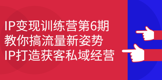 IP变现训练营第6期：教你搞流量新姿势，IP打造获客私域经营网创吧-网创项目资源站-副业项目-创业项目-搞钱项目左姐网创