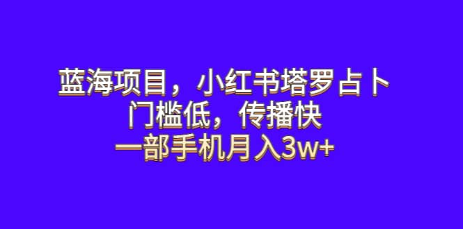蓝海项目，小红书塔罗占卜，门槛低，传播快，一部手机月入3w+网创吧-网创项目资源站-副业项目-创业项目-搞钱项目左姐网创