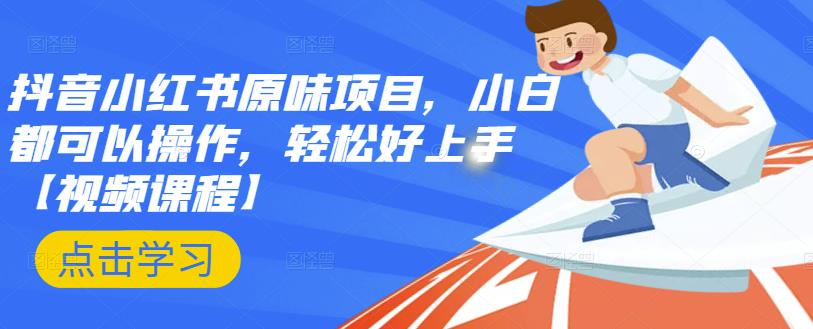 抖音小红书原味项目，小白都可以操作，轻松好上手【视频课程】网创吧-网创项目资源站-副业项目-创业项目-搞钱项目左姐网创