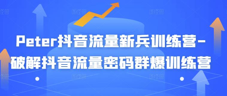 Peter抖音流量新兵训练营-破解抖音流量密码群爆训练营（新兵）网创吧-网创项目资源站-副业项目-创业项目-搞钱项目左姐网创