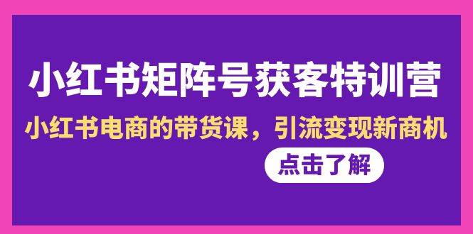 小红书-矩阵号获客特训营-第10期，小红书电商的带货课，引流变现新商机网创吧-网创项目资源站-副业项目-创业项目-搞钱项目左姐网创