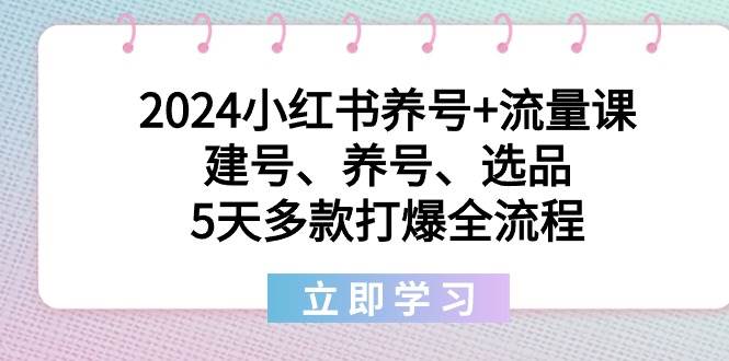 2024小红书养号+流量课：建号、养号、选品，5天多款打爆全流程网创吧-网创项目资源站-副业项目-创业项目-搞钱项目左姐网创