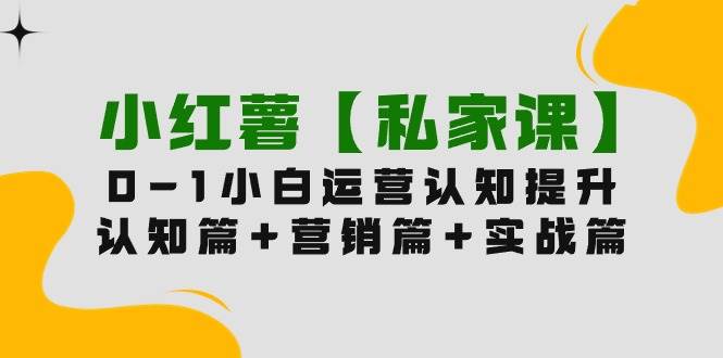小红薯【私家课】0-1玩赚小红书内容营销，认知篇+营销篇+实战篇（11节课）网创吧-网创项目资源站-副业项目-创业项目-搞钱项目左姐网创