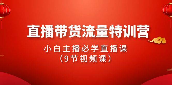 2024直播带货流量特训营，小白主播必学直播课（9节视频课）网创吧-网创项目资源站-副业项目-创业项目-搞钱项目左姐网创