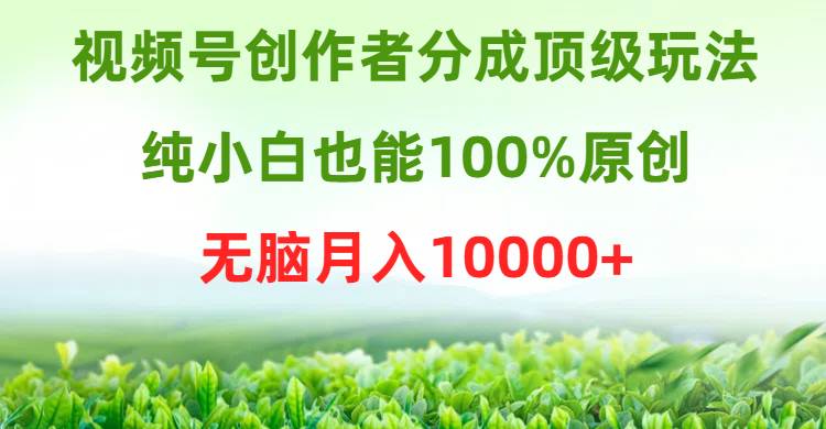 视频号创作者分成顶级玩法，纯小白也能100%原创，无脑月入10000+网创吧-网创项目资源站-副业项目-创业项目-搞钱项目左姐网创