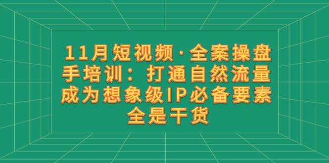 11月短视频·全案操盘手培训：打通自然流量 成为想象级IP必备要素 全是干货网创吧-网创项目资源站-副业项目-创业项目-搞钱项目左姐网创