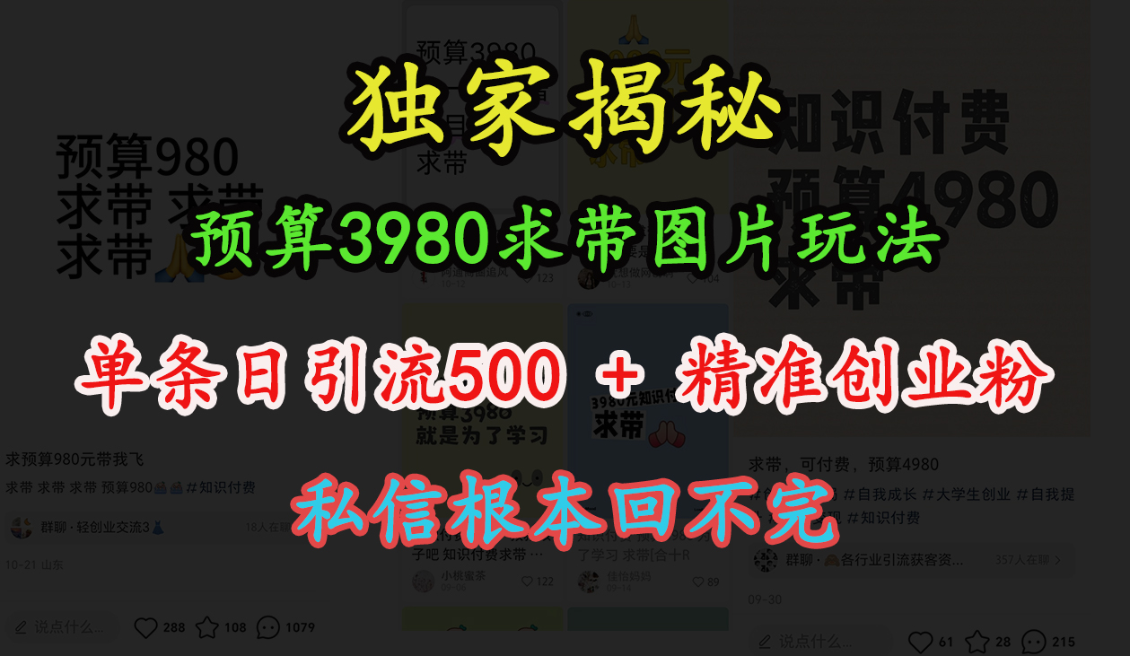 “小红书”预算3980求带 图片玩法，单条日引流500+精准创业粉，私信根本回不完网创吧-网创项目资源站-副业项目-创业项目-搞钱项目左姐网创