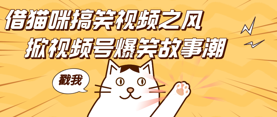 借猫咪搞笑视频之风，掀视频号爆笑故事潮，轻松日赚四位数，开启无门槛赚钱新体验！网创吧-网创项目资源站-副业项目-创业项目-搞钱项目左姐网创