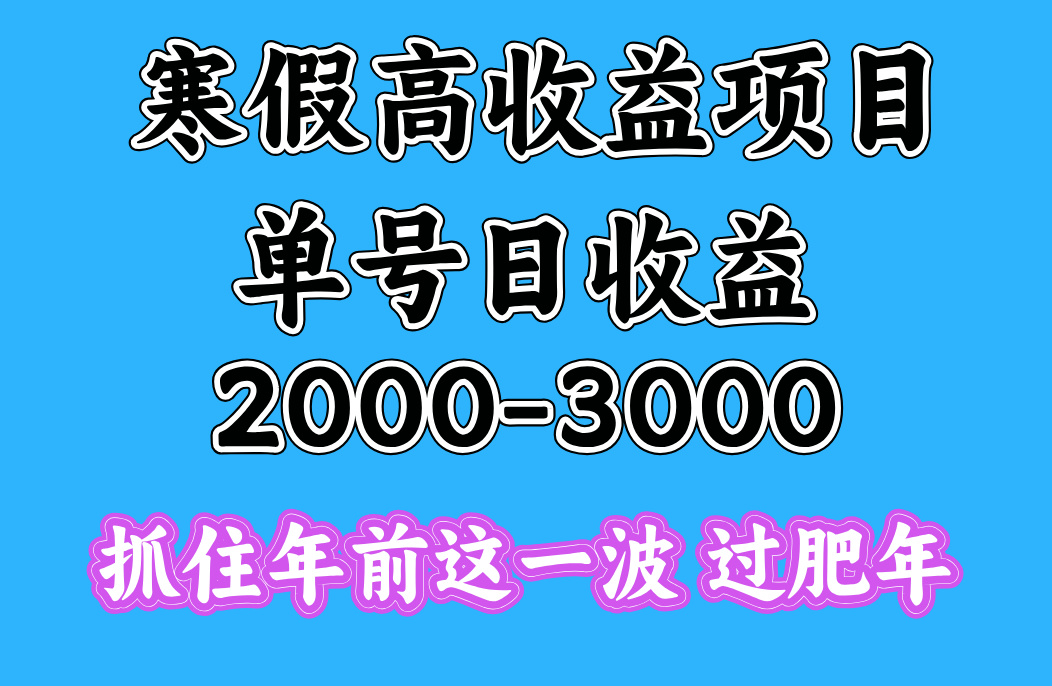 寒假期间一天收益2000-3000+，抓住年前这一波网创吧-网创项目资源站-副业项目-创业项目-搞钱项目左姐网创