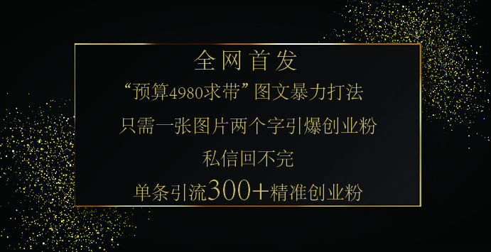 小红书，“预算 4980 带我飞” 的神奇图片引流法，堪称涨粉核武器！只需一张图，就能单条笔记凭借此方法，轻松引流 300 + 精准创业粉！网创吧-网创项目资源站-副业项目-创业项目-搞钱项目左姐网创